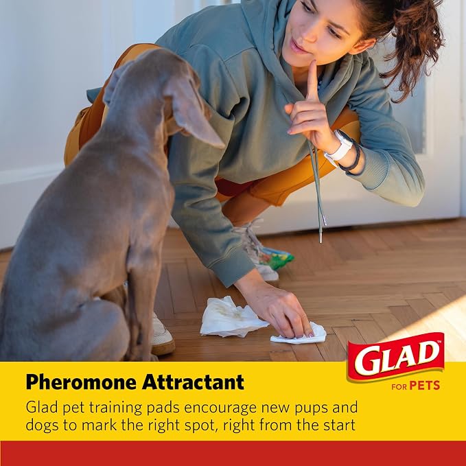 Glad for Pets Activated Carbon Disposable Dog Training Pads, 100 Count | Ideal for puppies, senior dogs, incontinence, and post-surgery, ultra-absorbent, keeps floors & crates dry, 23 x 23 in