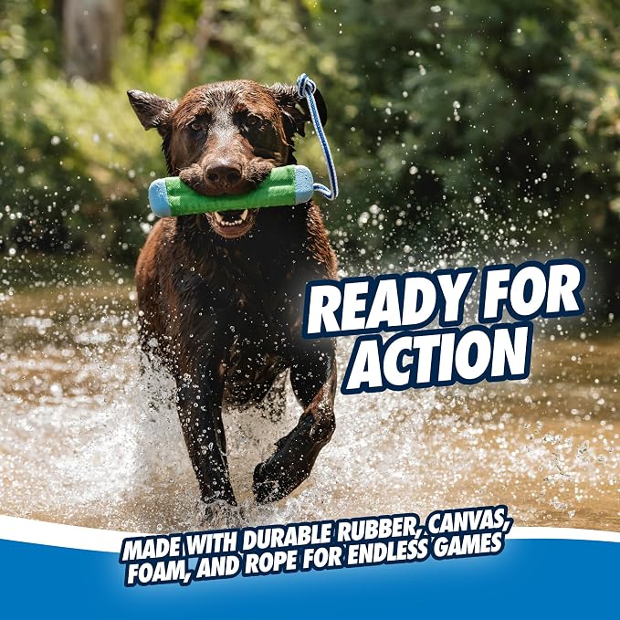 Chuckit! Amphibious Bumper Fetch and Float Toy 2 Sizes Assorted Colors