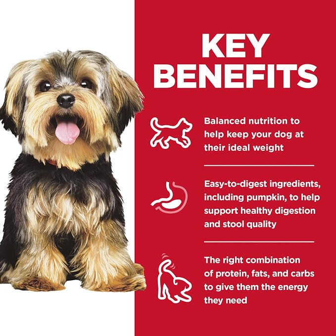 Hill's Science Diet Adult 1-6 Small & Mini Wet Dog Food | #1 Veterinarian Recommended, Beef & Vegetables, 3.5 oz. Trays, 12-Pack