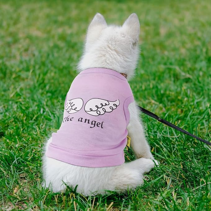 Reginary 8 Pieces Dog Shirts Girl Small Dog Clothes for Chihuahuas Yorkies Female Puppy Shirts Printed Pet Outfit Cute Breathable Soft Valentine's Day Doggie Cat Lovers Gift(Vivid Pattern,Size S)