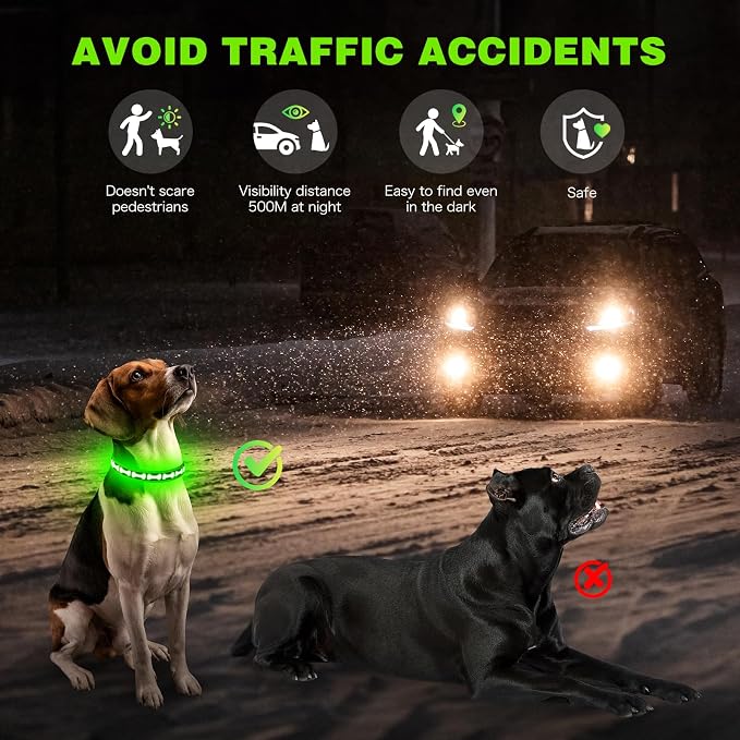 Flashseen LED Dog Collar Light Up USB-C Rechargeable (Green, Medium)