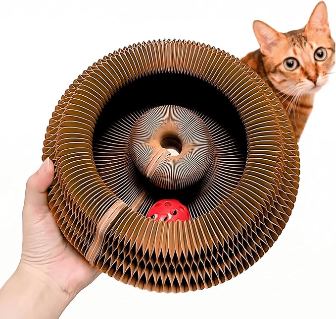KITTY KURLZ Interactive Cat Toy & Cardboard Cat Scratcher