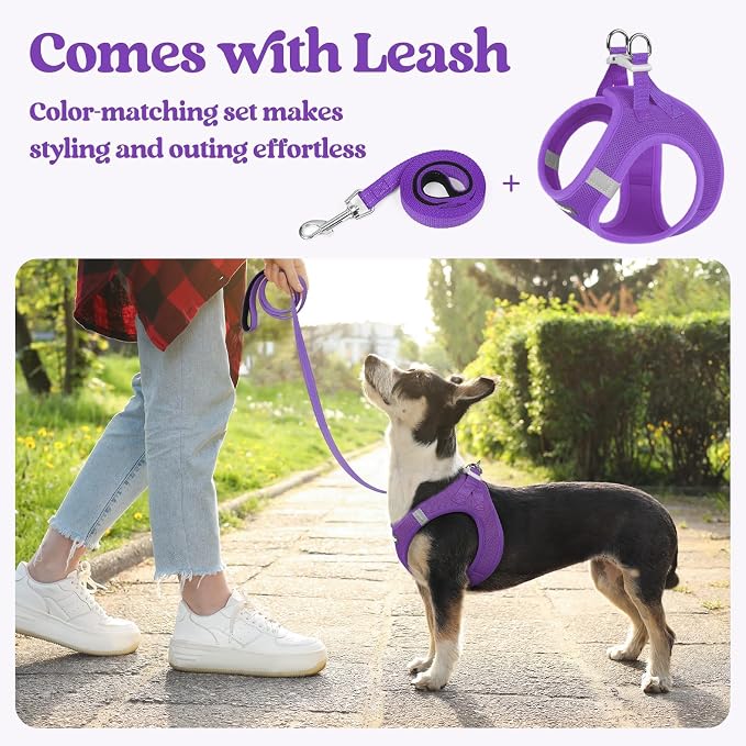 rabbitgoo Dog Harness Small Sized and Leash Set, Step-in Puppy Pet Vest | Light, Soft, Breathable Air Mesh, Easy on and Remove with Hook & Loop, Secure Reflective for Walking, Purple XXXS