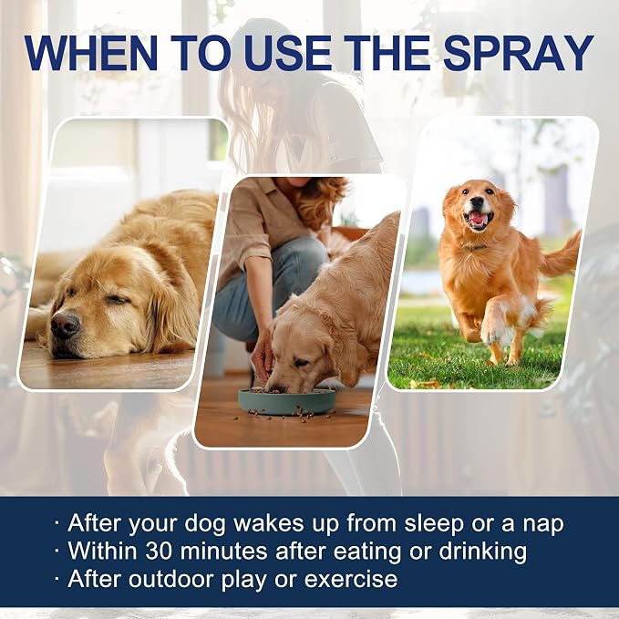 Potty Training Spray for Dogs, 5 fl oz /150ml Dog Pee Training Aid | Helps Guide Puppies & Adults Dogs to Pee Pads or Designated Areas, Safe Plant-Based Attractant for Indoor & Outdoor Use