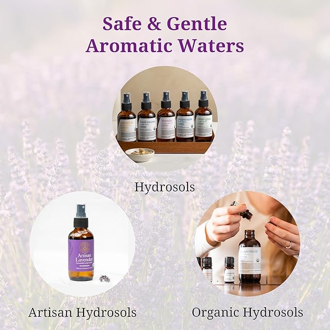 Aromatics International Sweet Grass Hydrosol 100ml | Fresh Sweet Herbaceous Natural Aromatic Mist for Home, Body & Daily Use