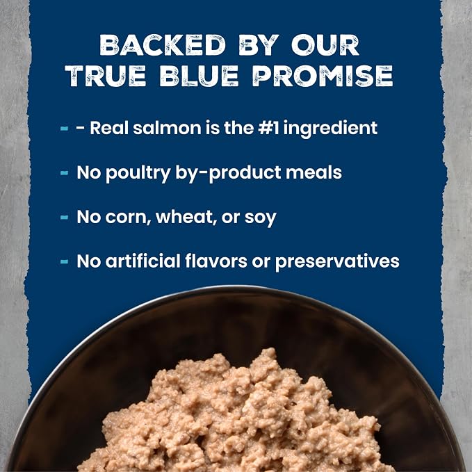 Blue Buffalo Wilderness Salmon Kitten Paté Wet Cat Food, 3 oz, 24 ct | High Protein, Real Salmon #1 Ingredient, Grain-Free Recipe, DHA for Cognitive Development, Helps Support Daily Hydration