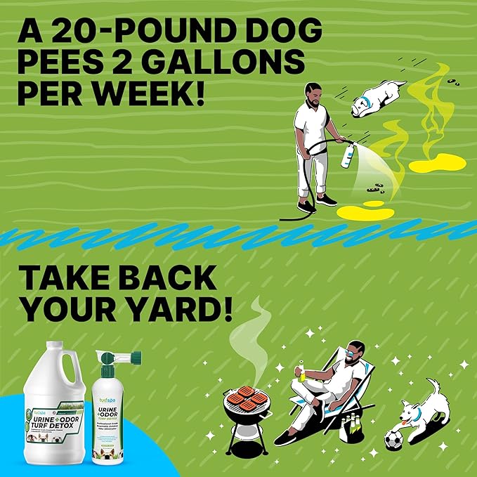 Urine & Odor Turf Detox Mango, 32 oz Sprayer & Gallon Refill | Professional enzyme cleaner and odor eliminator for artificial grass, turf, concrete and patios; for dogs and cats