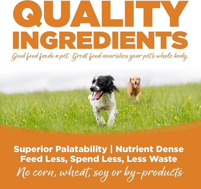 NutriSource Adult Dry Dog Food, Lamb Meal & Rice, 4 lb | Probiotic & Prebiotic Digestive Support, Healthy Skin & Coat, No Corn Wheat or Soy