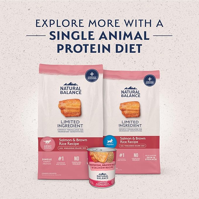 Natural Balance Limited Ingredient Adult Dry Dog Food - Complete Nutrition for Adult Dogs - Wholesome Grains Brown Rice Recipe - Limited Ingredient Formula - 12 lb - Salmon & Brown Rice