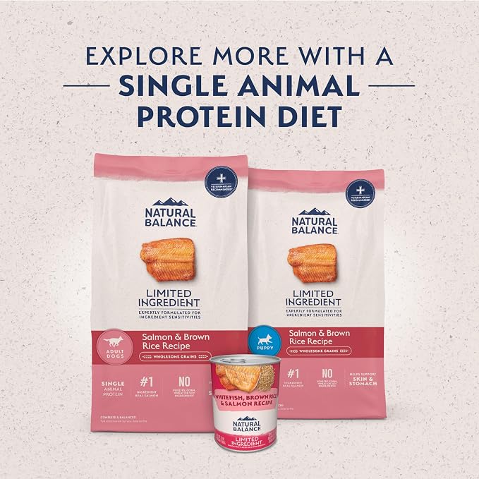 Natural Balance Limited Ingredient, Salmon & Brown Rice, 4 lb | Dry Dog Food with Wholesome Grains, Balanced Nutrition for Adult Dogs with Sensitivities, Skin and Stomach Support