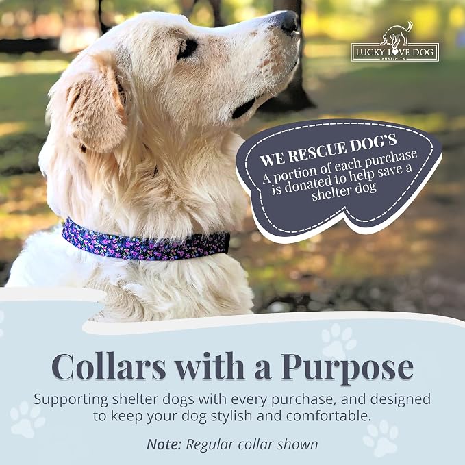 Lucky Love Dog Martingale Collar for Large Dogs No Slip – Primrose, Large
