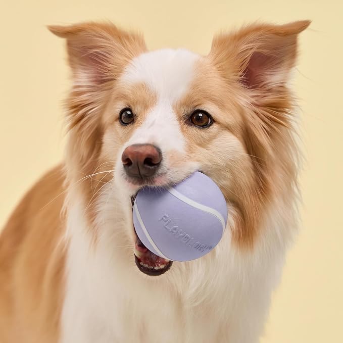 Playology Squeaky Chew Ball Dog Toy - Jumbo, Lamb Scent