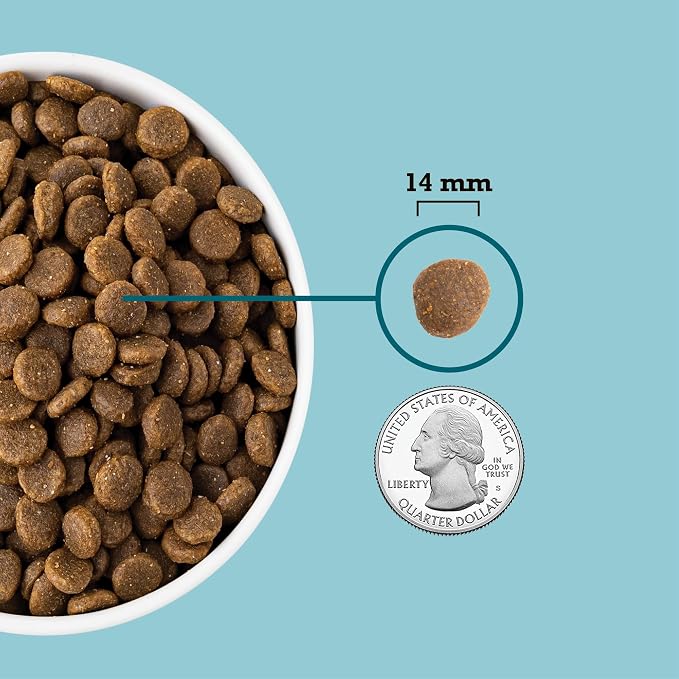 ACANA Grain Free Dry Dog Food Freshwater Fish Recipe 4.5lb Bag | Freeze Dried, Grain Free, High Protein, Made in the USA, Global Quality Ingredients, Nutrients and Flavor Preserved