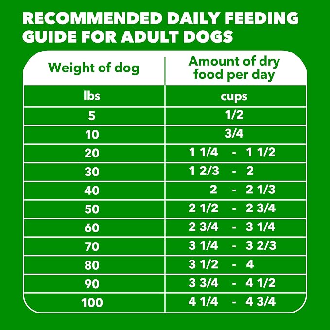 IAMS Proactive Health Adult Minichunks Dry Dog Food, Beef & Rice, 30 lb | Real beef #1 ingredient, no fillers or artificial flavors, glucosamine & chondroitin, supports bones, joints & muscles