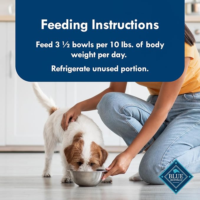 Blue Buffalo Delights NY Strip Small Breed Wet Dog Food, 3.5 oz, 12 ct | Grain-Free, Real Beef First, in Hearty Gravy, No Corn, Wheat, or Soy