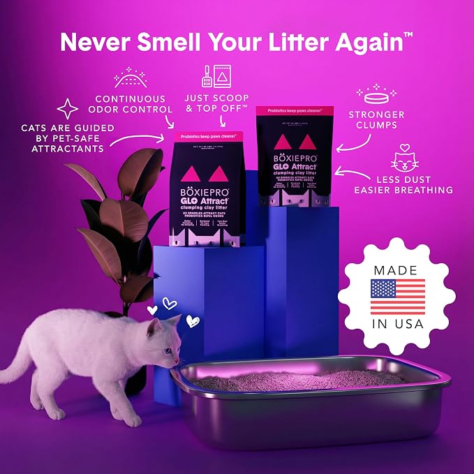 Boxie Glo Attract Clumping Cat Litter 40+ Day Odor Control Dust Free 40 lb