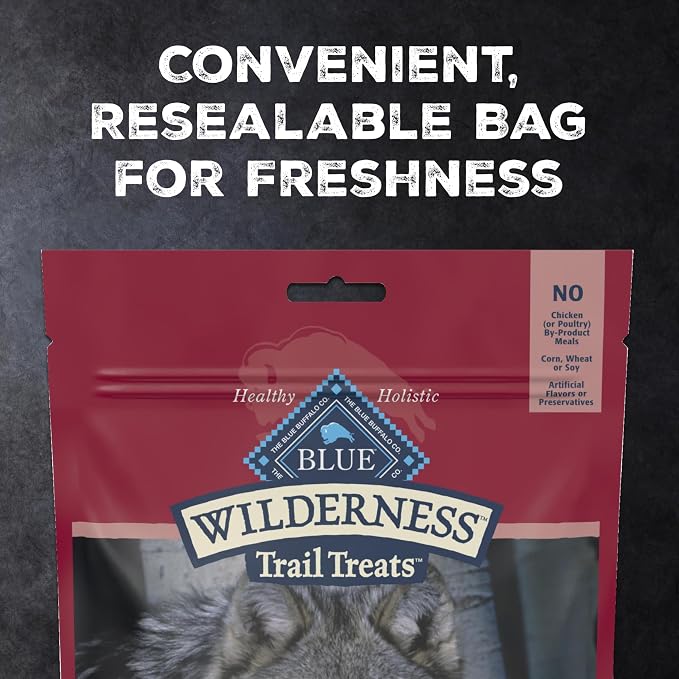 Blue Buffalo Wilderness Salmon Crunchy Dog Biscuits, Grain-Free, 24 oz | Real Salmon #1 Ingredient, High Protein Dog Treats, No Artificial Preservatives