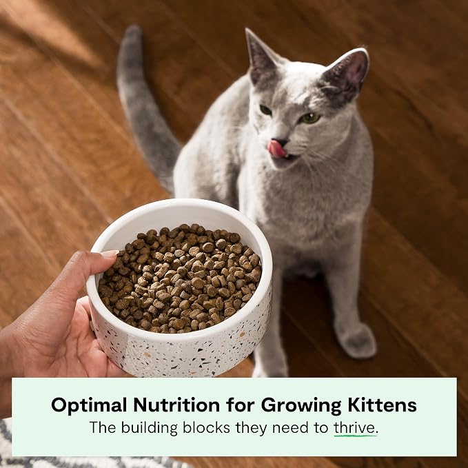Open Farm Grain Free Dry Kitten Food, Turkey & Chicken Kibble, 4lb Bag | All Kittens, High Protein, Prebiotic Fibers, 100% Traceable Ingredients, Non-GMO Fruits & Veggies.