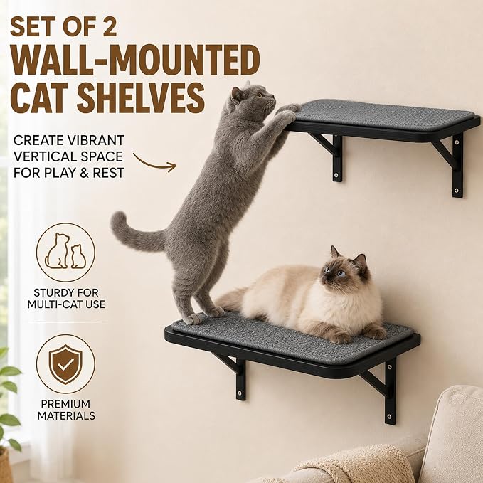 Cat Wall Shelves Set of 2, Black Solid Wood Cat Window Perch with Grey Sisal Cushion, Wall-Mounted Space-Saving Climbing Bed, Lounging Shelf for Kittens & Cats, Black Furniture for Indoor