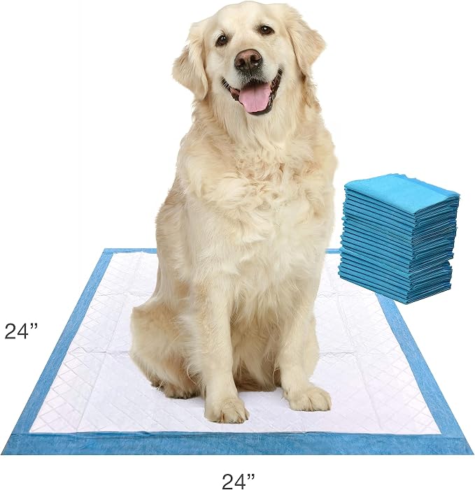 Four Paws Wee-Wee Super Absorbent Pads for Dogs, 22 Count | Leak-proof puppy pads, locks in wetness, dog housebreaking & potty training, all day floor protection, 24" x 24"