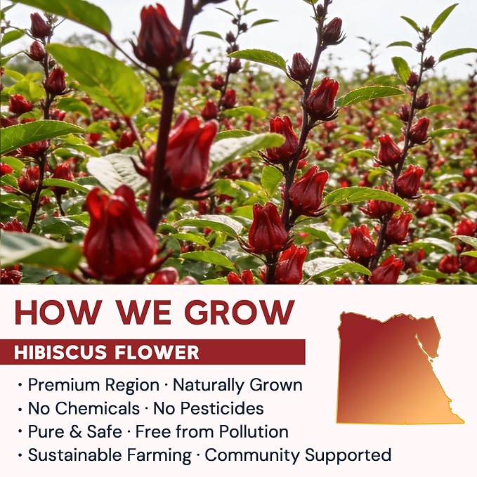 Hibiscus Tea Bags, Hibiscus Flower Herbal Tea - Caffeine & Sugar Free, 120 Teabags