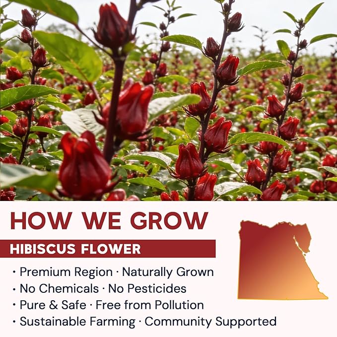 Hibiscus Tea Bags, Hibiscus Flower Herbal Tea - Caffeine & Sugar Free, 50 Teabags