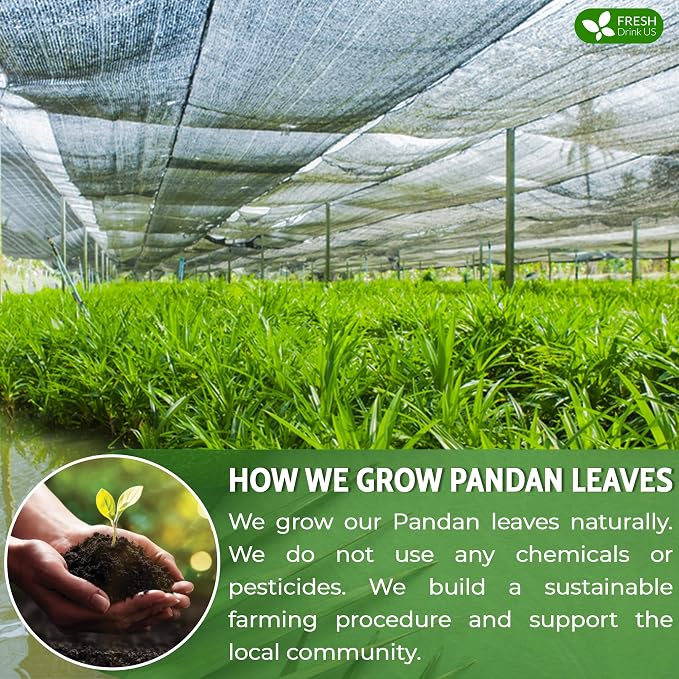 FreshDrinkUS, Premium 15 Pandan Leaf Tea Bags, 100% Natural & Pure from Pandan Leaves. Loose Leaf Pandan Herbal Tea. Made with Natural Material Tea Bags. No Sugar, No Caffeine, No Gluten, Vegan. (15 Tea bags)