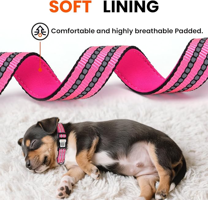 Personalized Dog Collar with QR Code Dog Tag, Rose Red M | Anti-lost, 1000D nylon, reflective, padded, XS-L(8"-24"), QR buckle shares lost pet profile, location alerts when scanned