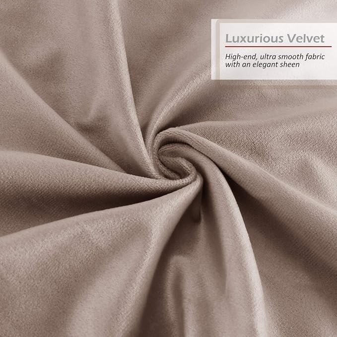 Throw Pillow Inserts Pack of 2 with Velvet Soft Solid Decorative Square Throw Pillow Covers Set for Sofa Couch Car Bedroom, 28X28 Throw Pillows Inserts with 26x26 Washable Cushion Covers, Taupe Sand
