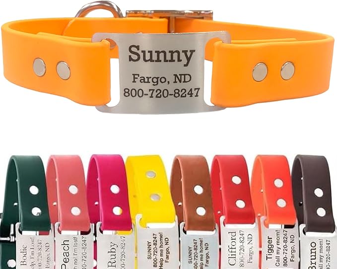 dogIDs Personalized Dog Collar – ScruffTag Custom Waterproof Biothane Dog Collar with Laser-Engraved Name, Durable & Odor-Resistant – USA Made | Creamsicle, 1 in x 16 in (Fits Neck Sizes 14-18 in)