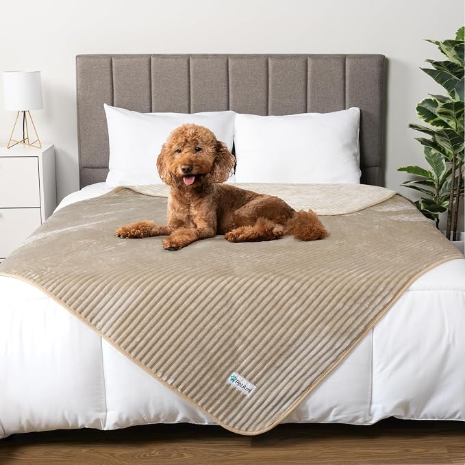 PetAmi Waterproof Dog Blanket, Leakproof Pet Blanket for Small Medium Large Cats, Soft Plush Reversible Sofa Couch Cover Protector, Washable Puppy Throw for Bed Crate, 40x60 in, Taupe Beige