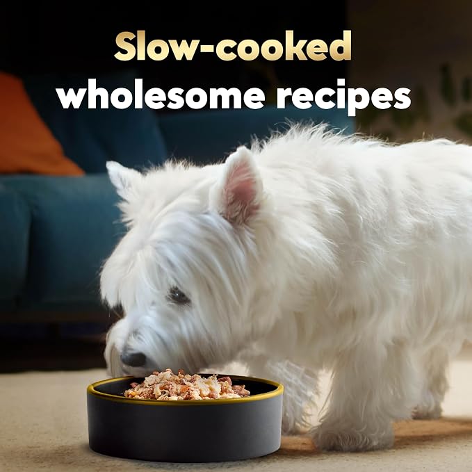 Cesar Wholesome Bowls Wet Dog Food, Beef & Purple Potatoes, 3 oz, 10 Count | Real beef #1 ingredient, slow-cooked, no by-products or artificial flavors, 10 key ingredients, easy to digest
