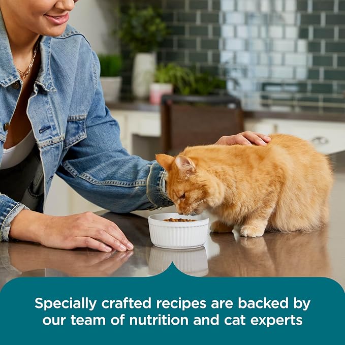 Nutrish Dry Cat Food, Salmon & Brown Rice Recipe, 5 lb. Bag (Rachael Ray) | Suitable for Cats of All Life Stages, No Artificial Flavors, Nature Food with Added Vitamins, Minerals & Nutrients