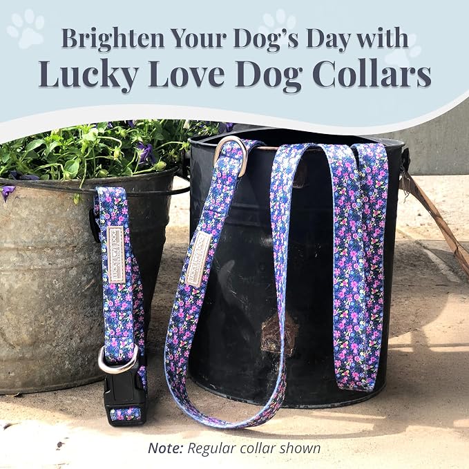 Lucky Love Dog Martingale Collar for Large Dogs No Slip – Primrose, Large