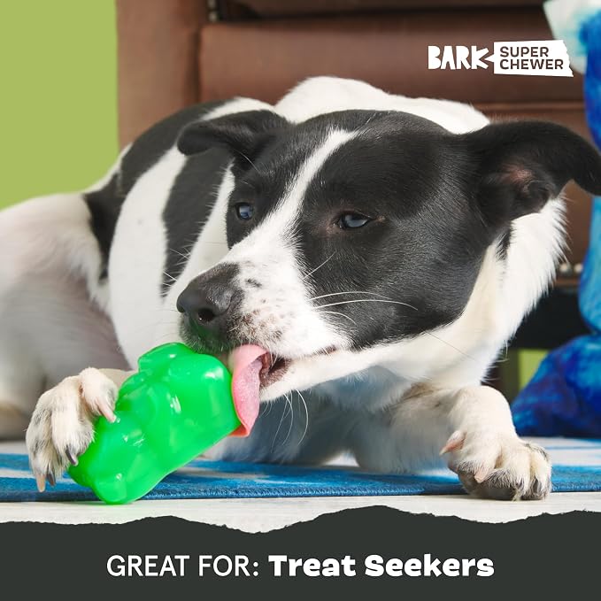 BarkBox Munchie The Bear Dog Toy - for Dogs up to 20 lbs - Small