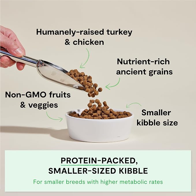 Open Farm Ancient Grains Dry Dog Food, Small Breed Kibble, 11lb Bag | All Life Stages, Small Breed Sizes, Protein-Rich & Nutrient Dense, 100% Traceable Ingredients, Non-GMO Fruits & Veggies.