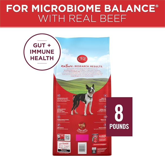 Purina ONE Small Bites Beef and Rice Formula Small High Protein Dry Dog Food Natural With Added Vitamins, Minerals and Nutrients - 8 lb. Bag