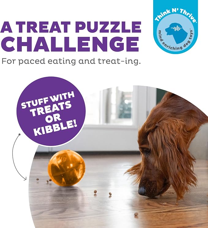 Outward Hound Orbee-Tuff Mazee Interactive Dog Puzzle Toy, Treat Dispensing Slow Feeder Ball, Orange, 4.7-Inch