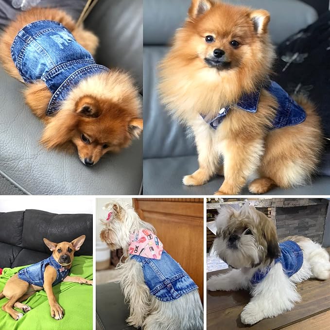Dog Jean Jacket,Blue Denim Vest,Cute Clothes for Small Dogs&Cats | Soft Washed Cotton Denim Costume,Cool Apparel Dress Shirt for Puppy,Classic Coat Outfit for Small Dogs Cats Boy Girl