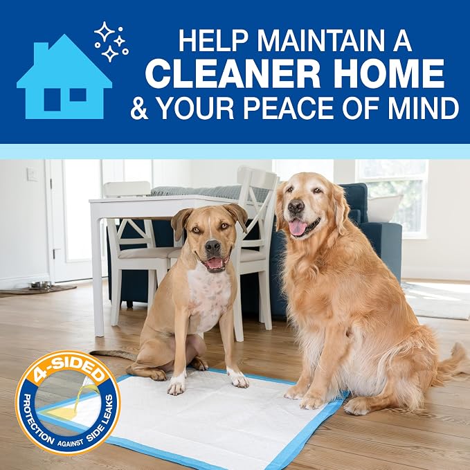 Four Paws Wee-Wee Superior Performance X-Large Dog Pee Pads, 75 Count | Puppy & dog potty training pads, housebreaking supplies, xl puppy pads, pet supplies, 24-hour floor protection, 28" x 34"