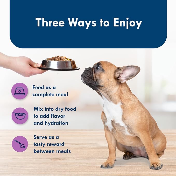 Blue Buffalo Delights Top Sirloin Small Breed Wet Dog Food, 3.5 oz, 12 ct | Adult Formula, Grain-Free, Pate Style, Real Beef First, in Savory Juice, No Corn, Wheat, or Soy