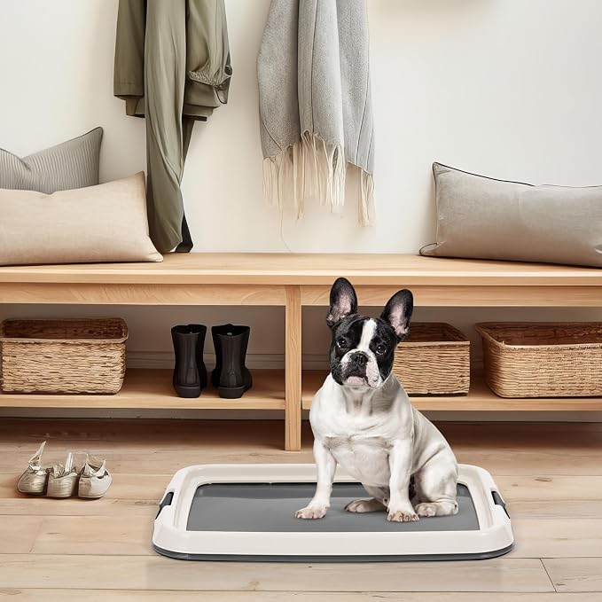 IRIS USA Pee Pad Holder, Fits 17x23 Pads, Dark Gray, Made in USA | Dog Training Pad Holder, Holds Pads in Place, Leakproof Design, Secure Latches, Non-Skid Feet, Easy Clean Surface