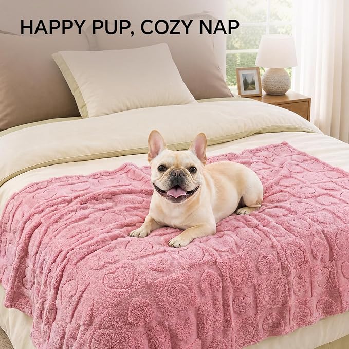 Luciphia Small Dog Blanket Washable Pet Bed Cover Soft Fluffy Puppy Blanket with Premium Fleece 300GSM Cozy Calming Cat Blankets for Indoor Cats Pink 57x40 inch | Pink Blanket Washable for Medium/Large Dogs, Cute Cover on Bed Couch Crate Car, Puppy Ess...