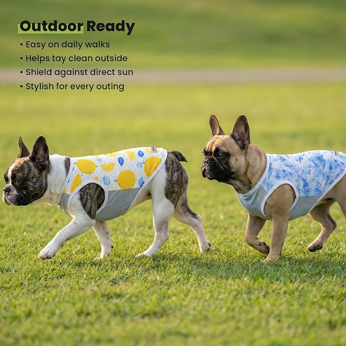 Fitwarm 2 Pack Ice Lemon UPF 50+ UV Sun Protection Dog Shirt, Lightweight Dog Cooling Vest, Quick Dry Summer Clothes for Small Dogs Boy Girl, Pet Outfit, Blue, Yellow, White, XS
