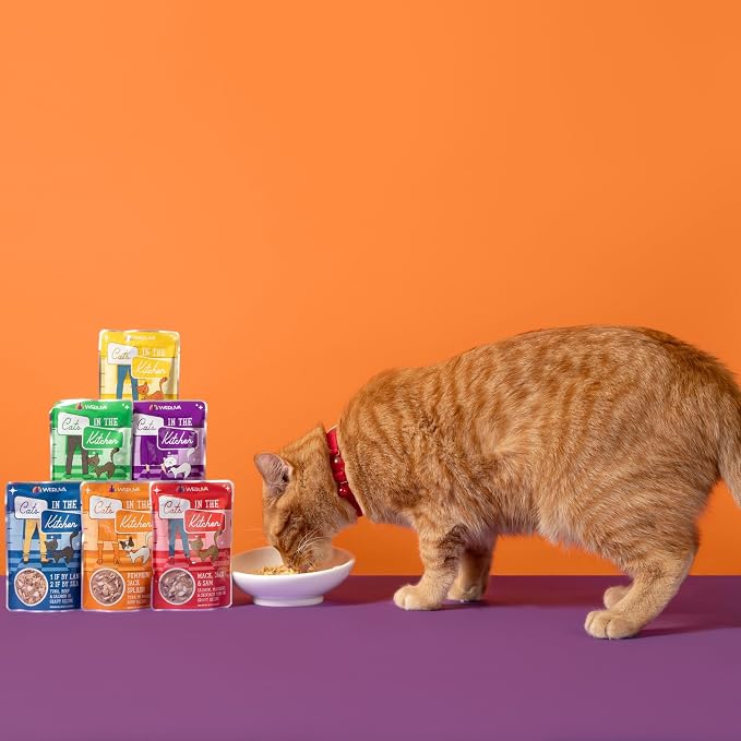 Weruva Cats in the Kitchen, Pumpkin Jack Splash with Tuna in Pumpkin Soup Cat Food, 3oz Pouch (Pack of 12)
