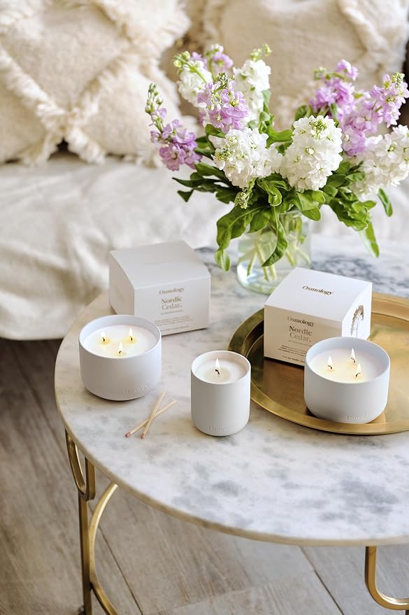 Nordic Cedar Aromatherapy Candle – Cedarwood, Cinnamon & Bergamot Scented Candle, Plant-Based Wax, 15.8 oz, 60 Hour Burn Time, Warm & Cozy Candle