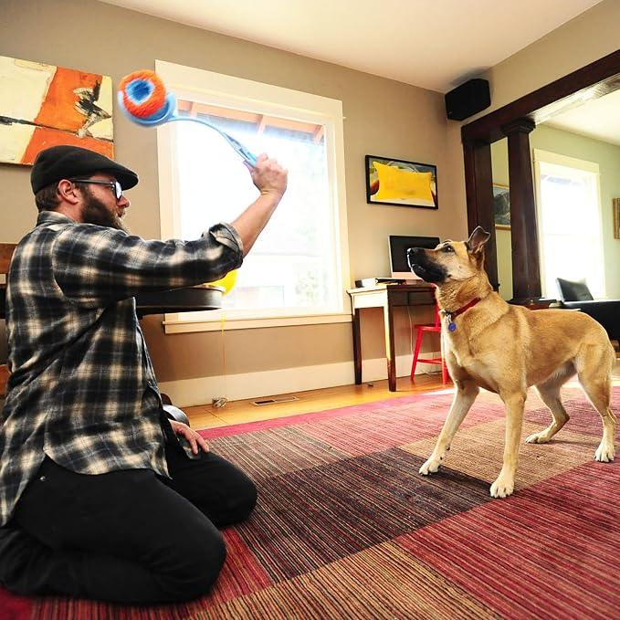 Chuckit! Indoor Fetch Roller Toy for Dogs - Interactive Dog Toys for Boredom, Orange and Blue 4.7 inches (Pack of 12)