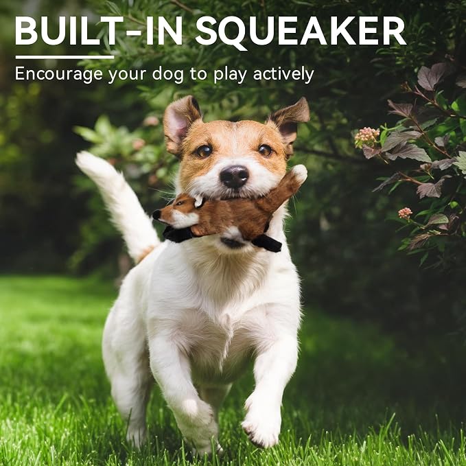 ALL FOR PAWS Squeaky Doy Toy, Fox Dog Toy for Small Medium Breed, Puppy Fetch Toy with Squeaker, Plush Chew Dog Toy, Classic S