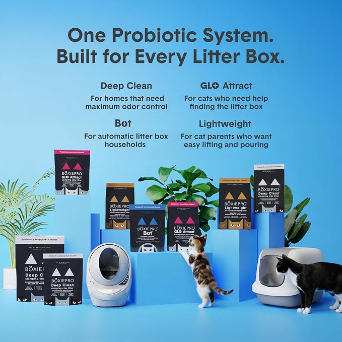 Boxie Glo Attract Clumping Cat Litter 40+ Day Odor Control Dust Free 40 lb