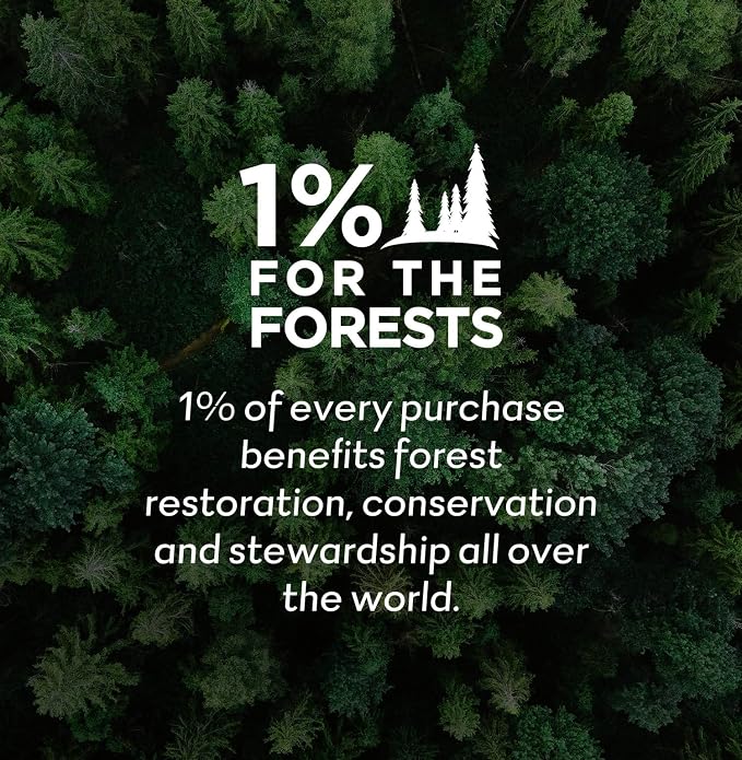 Forest Field Bathe in The Forest Candle | Meditation & Relaxation Candle Functional, Aromatherapy Candle with Natural Terpene Oils, Auto-Immune Safe | Gifts for Women | Clean Products